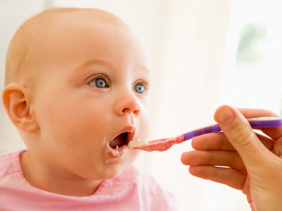 Why 6 Months Feels Like a Big Deal (Hint: Food Is Coming!)