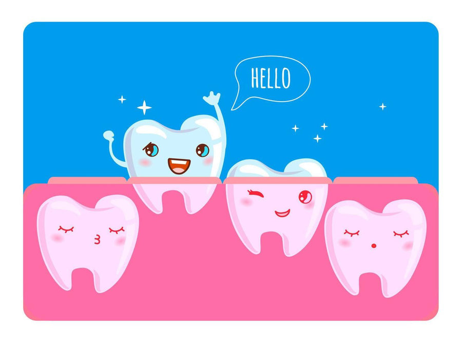 From 3 Months to 12 Months: When Do Babies Really Start Teething?