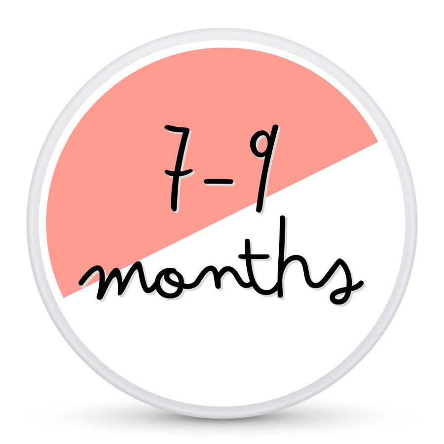 ahgiya! 7-9 months baby toddler food shopify