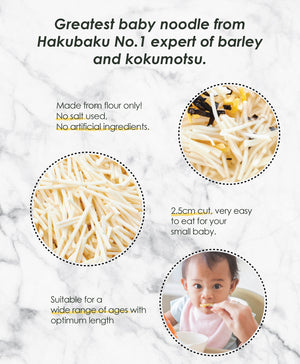 Hakubaku Baby Unsalted Noodle - Sweet Potato